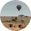safari in mara